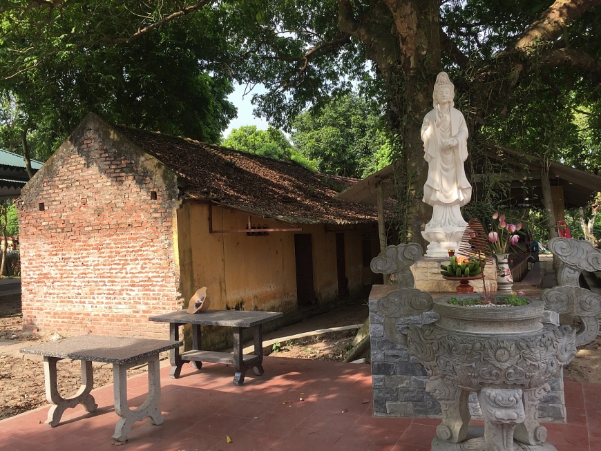 Hổ thẹn trước vẻ đẹp của thành cổ Luy Lâu