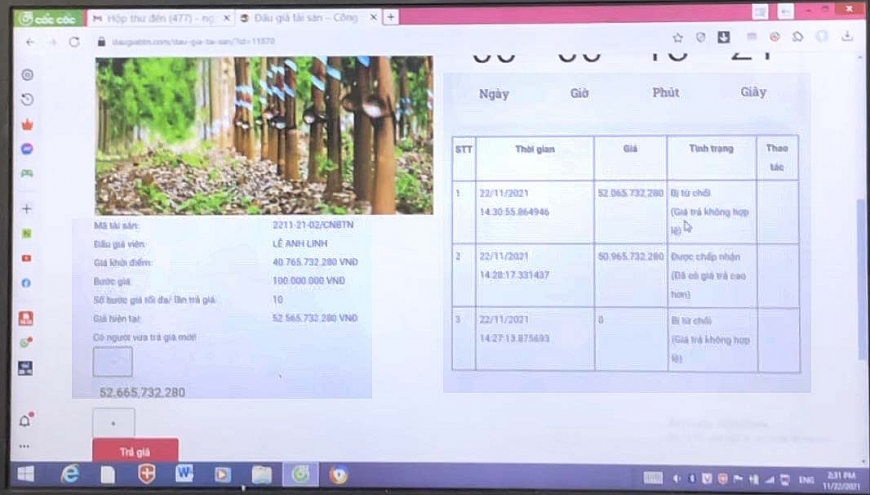 Ảnh chụp màn hình tại buổi đấu giá trực tuyến.
