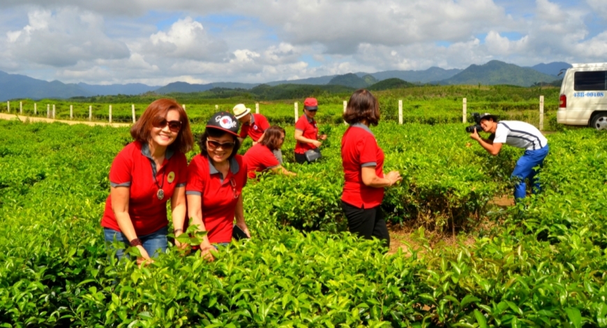 Du khách chụp ảnh trên đồi chè .