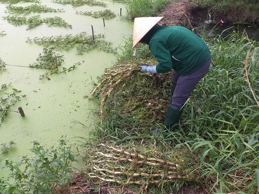 Bù lại nguồn thu nhập mang lại cho họ không chỉ khá mà rất ổn định mỗi ngày