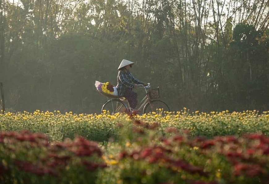 Rộn ràng mùa hoa Tết