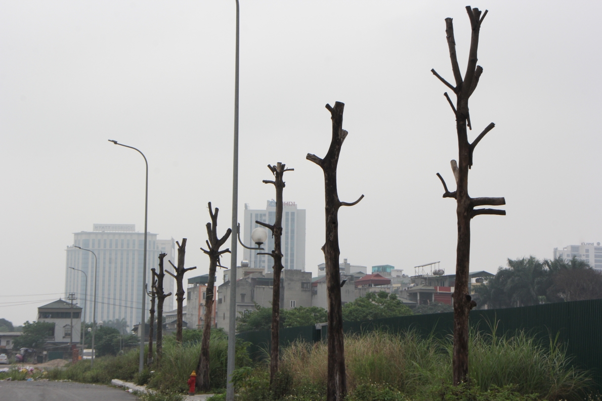 Rác thải, ô nhiễm môi trường trên 