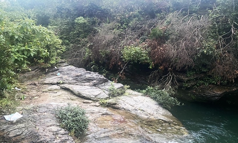 Tin ngày 22/5: Thực hiện thành công nhiều ca ghép thận; Australia có lãnh đạo mới