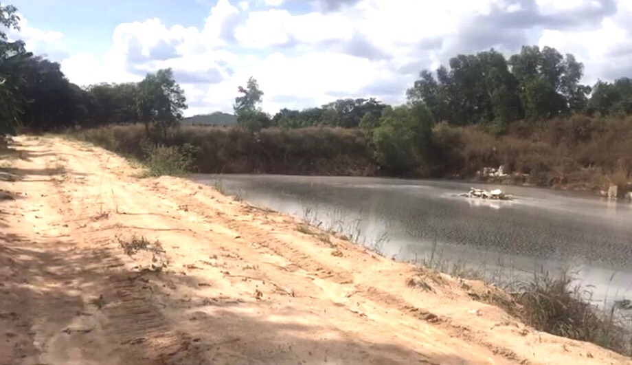 Chủ tịch UBND tỉnh Đồng Nai: Yêu cầu kiểm tra xử lý Công ty TNHH Cù Lao Xanh gây ô nhiễm môi trường