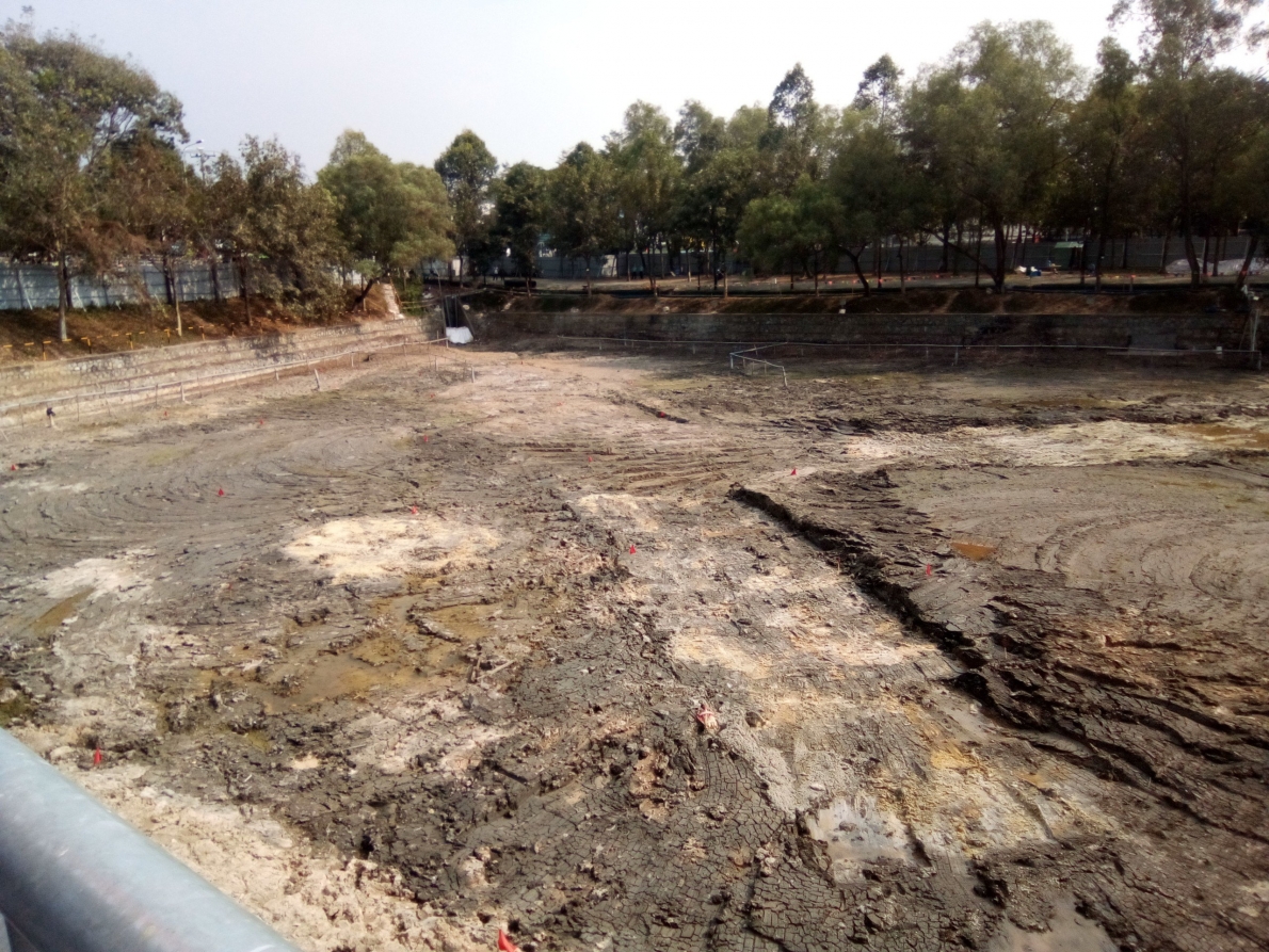 Đồng Nai: Công bố kết quả dự án xử lý dioxin khu vực sân bay Biên Hòa