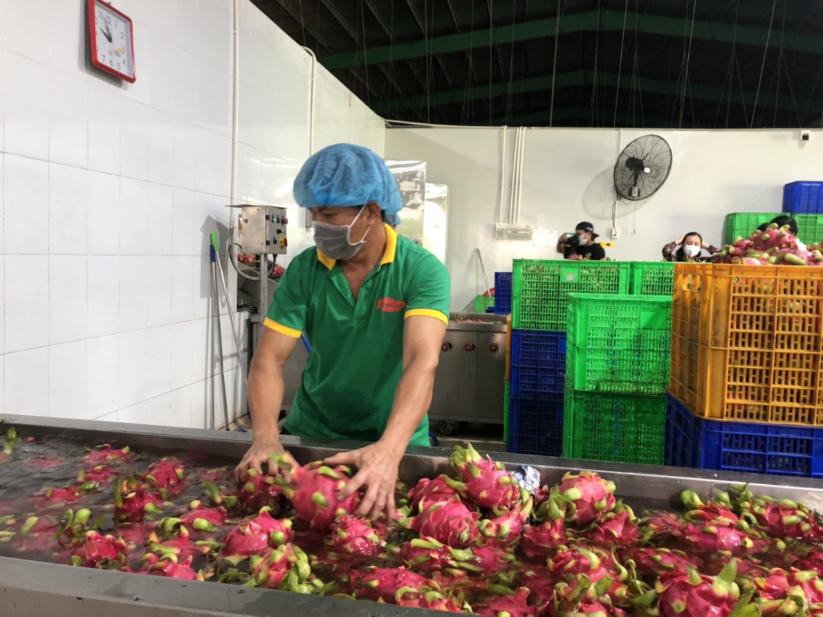 Đồng Nai: Ra quân xuất khẩu nông sản chế biến đầu năm 2022