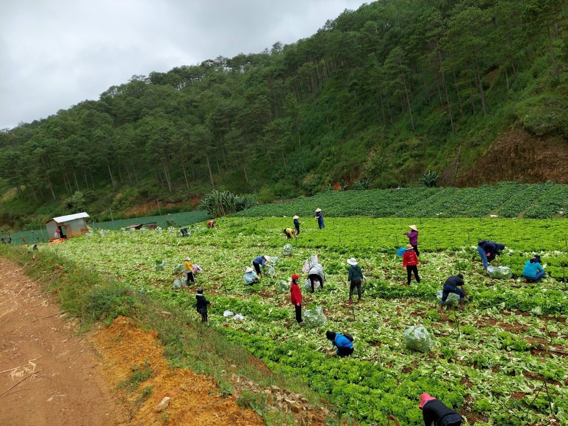 Phương Trang trên muôn nẻo đường Xuân