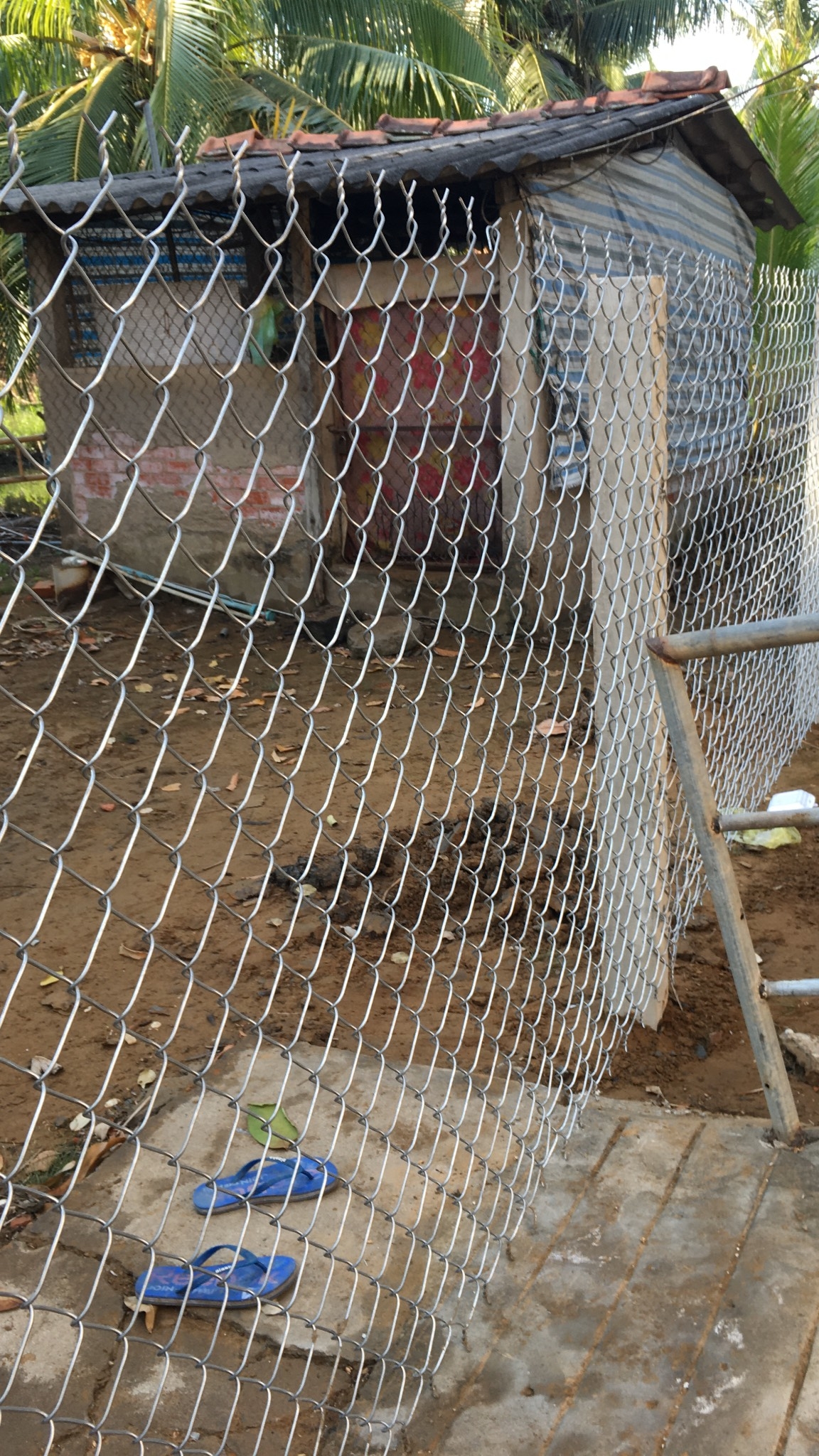 Những dấu hiệu sai phạm trong việc ban hành quyết định hủy giấy chứng nhận quyền sử dụng đất