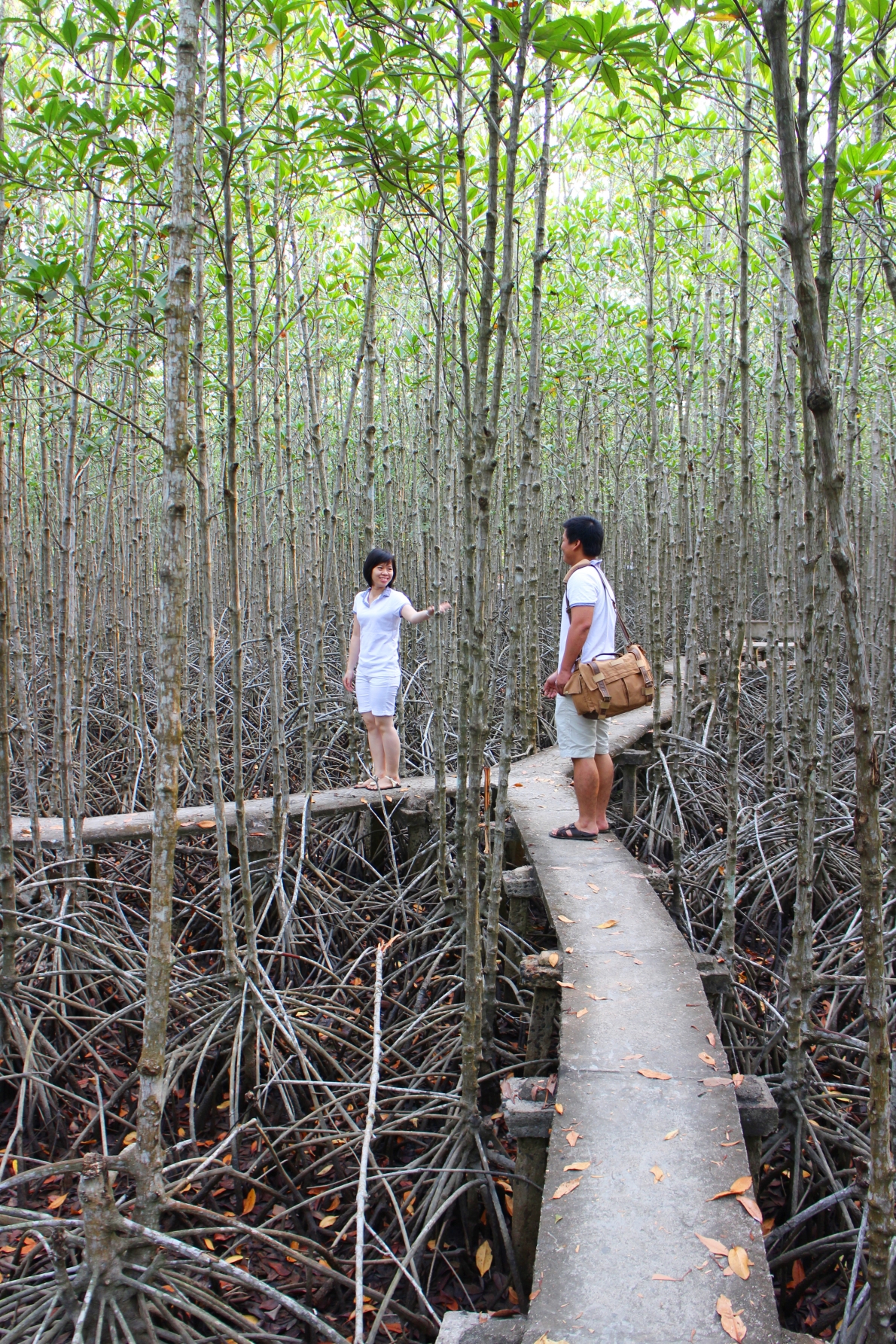 TP. Hồ Chí Minh: Kinh tế cảng biển và đô thị biển du lịch