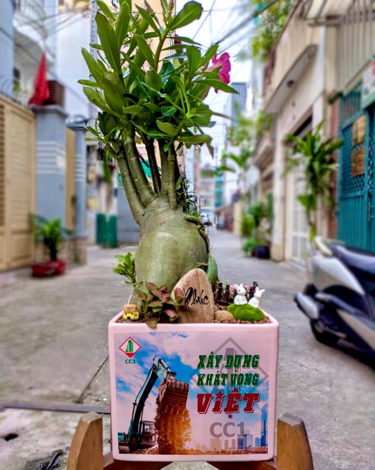 Gặp gỡ người tạo “Quà tặng xanh”