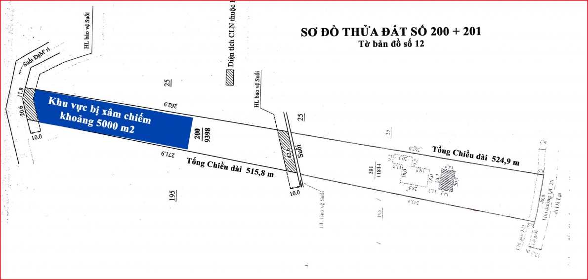 Ban Nội chính Tỉnh ủy Lâm Đồng yêu cầu giải quyết đơn của bà Nguyễn Thị Tương