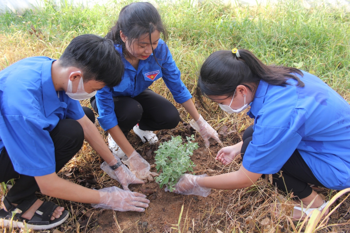 Tổ chức phát động Công trình “Tuyến đường hoa thanh niên”