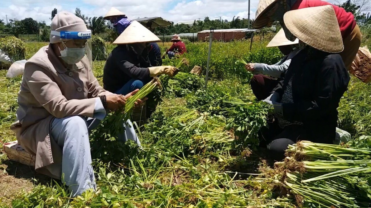 Nhiều người hảo tâm đồng hành cùng chùa lá Gò Vấp hỗ trợ người dân mùa dịch Covid
