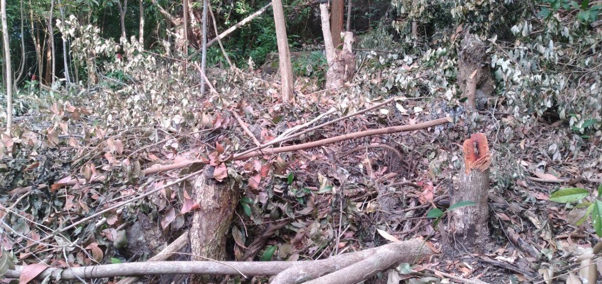 Tỉnh Kiên Giang: Sao chưa giải quyết dứt điểm việc thực hiện “Dự án Viện điều dưỡng và Trồng cây dược liệu kết hợp du lịch sinh thái”?