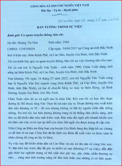 Bắc Ninh: Trâu thả rông húc làm 2 người thương vong