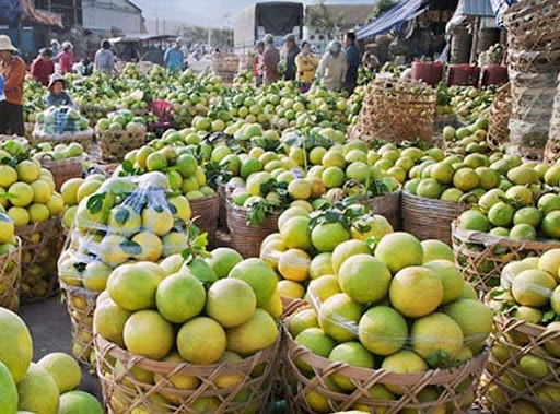 Một số giải pháp về thực trạng hơn 10.000 doanh nghiệp vùng ĐBSCL rời khỏi thị trường