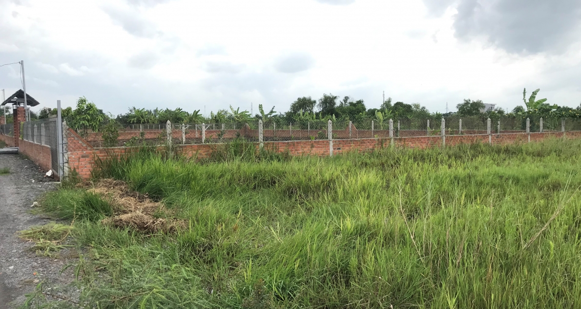 Xã Bình Mỹ, Huyện Củ Chi, TP Hồ Chí Minh: Vô tư xây dựng nhà trên  đất nông nghiệp (!)