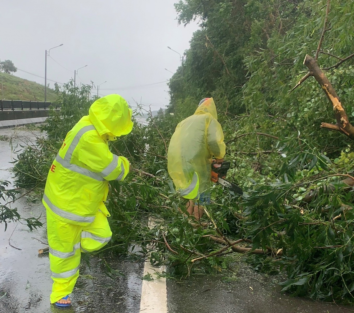 Phòng CSGT Công an tỉnh Bình Định: Đội mưa giải phóng đường sau bão