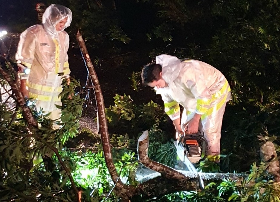 Phòng CSGT Công an tỉnh Bình Định: Đội mưa giải phóng đường sau bão