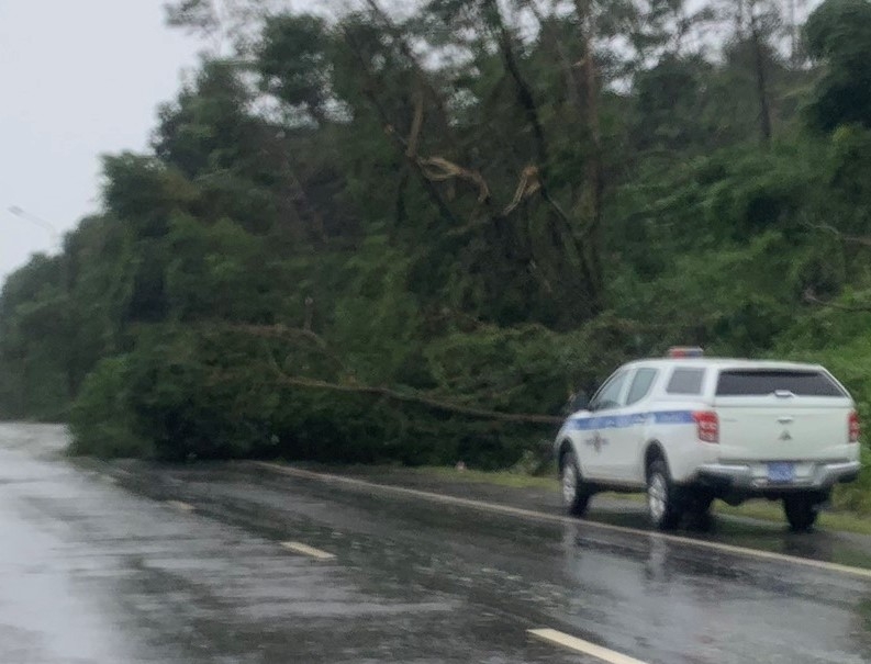 Phòng CSGT Công an tỉnh Bình Định: Đội mưa giải phóng đường sau bão