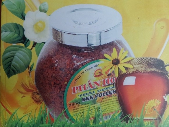 Công ty mật ong Thái Dương: Điểm sáng về nghề nuôi ong của tỉnh Lâm Đồng