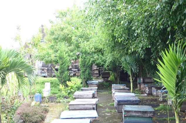 Công ty mật ong Thái Dương: Điểm sáng về nghề nuôi ong của tỉnh Lâm Đồng