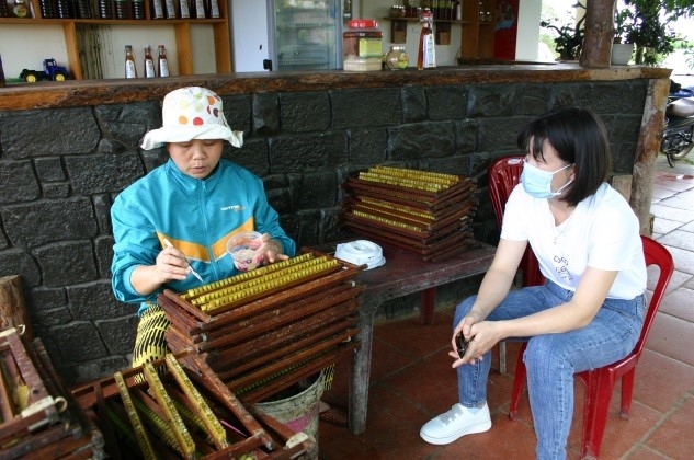 Công ty mật ong Thái Dương: Điểm sáng về nghề nuôi ong của tỉnh Lâm Đồng
