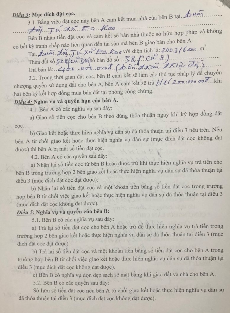 TP Buôn Ma Thuật- tỉnh Đắk Lắk: Cần xử lí hành vi có dấu hiệu cố ý hủy hoại tài sản của người khác