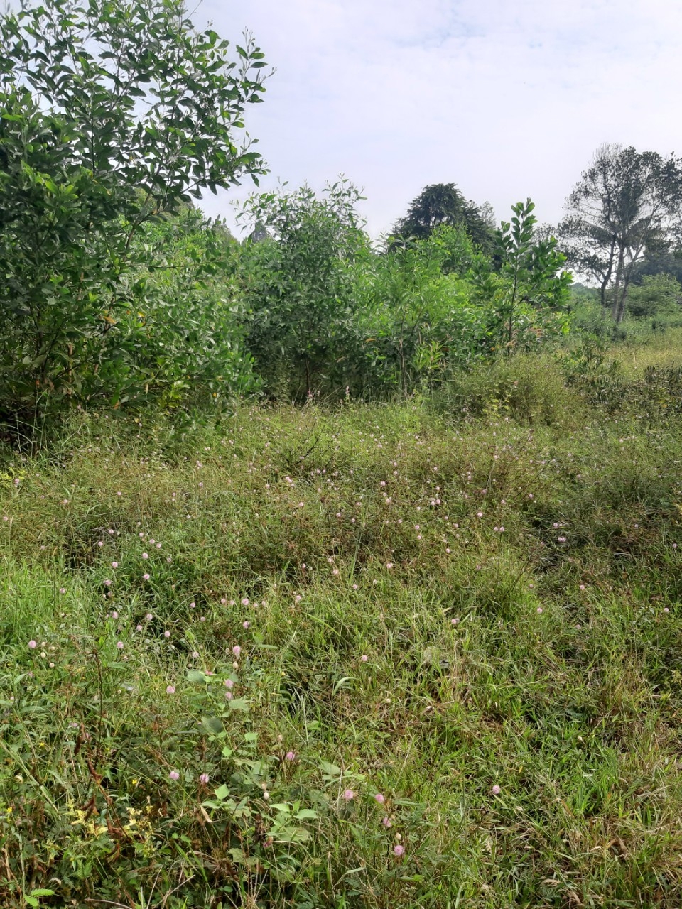 Đồng Nai: Đất có chủ quyền, sử dụng yên ổn hơn 15 năm bị Sở TN&MT cấp cho người khác