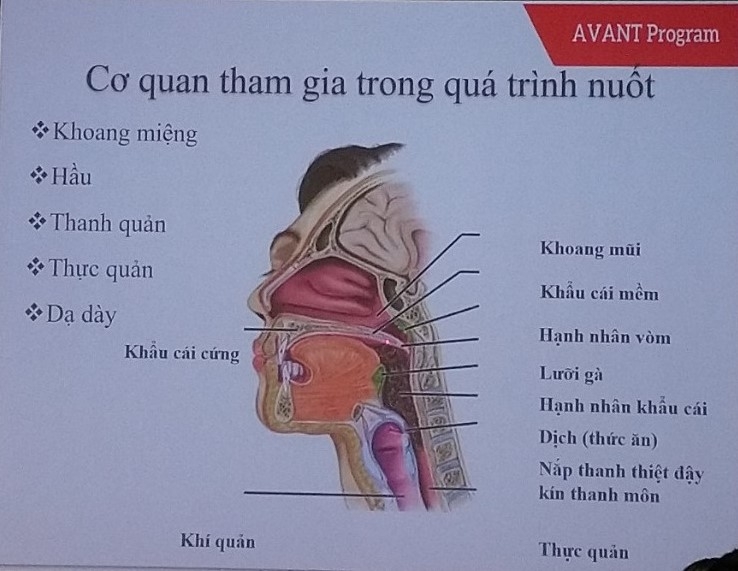 TP.Hồ Chí Minh: Tổ chức khoá tập huấn phục hồi chức năng thần kinh sau đột quỵ