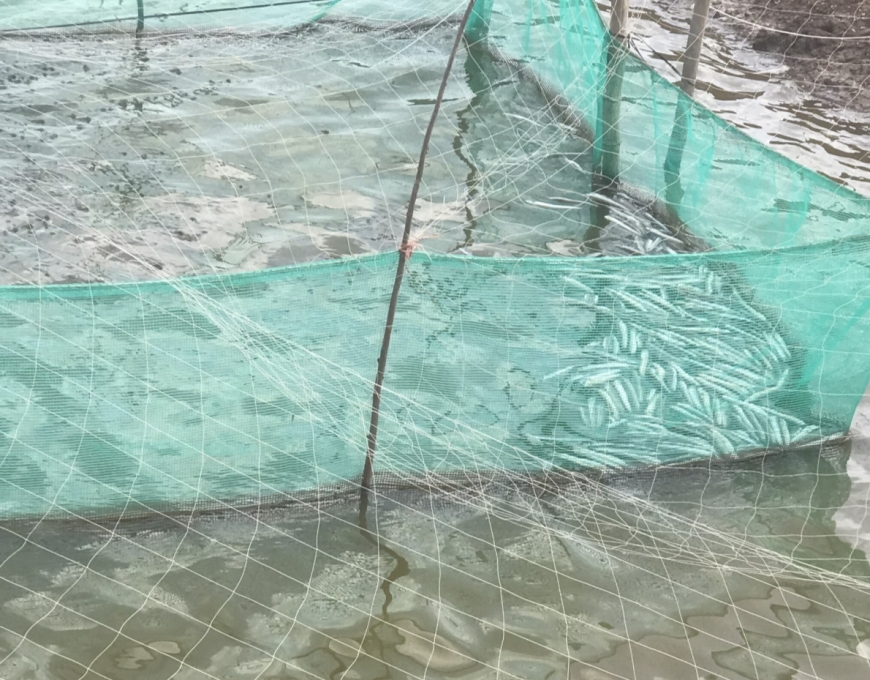 Dấu hiệu xâm nhập gia cư bất hợp pháp?