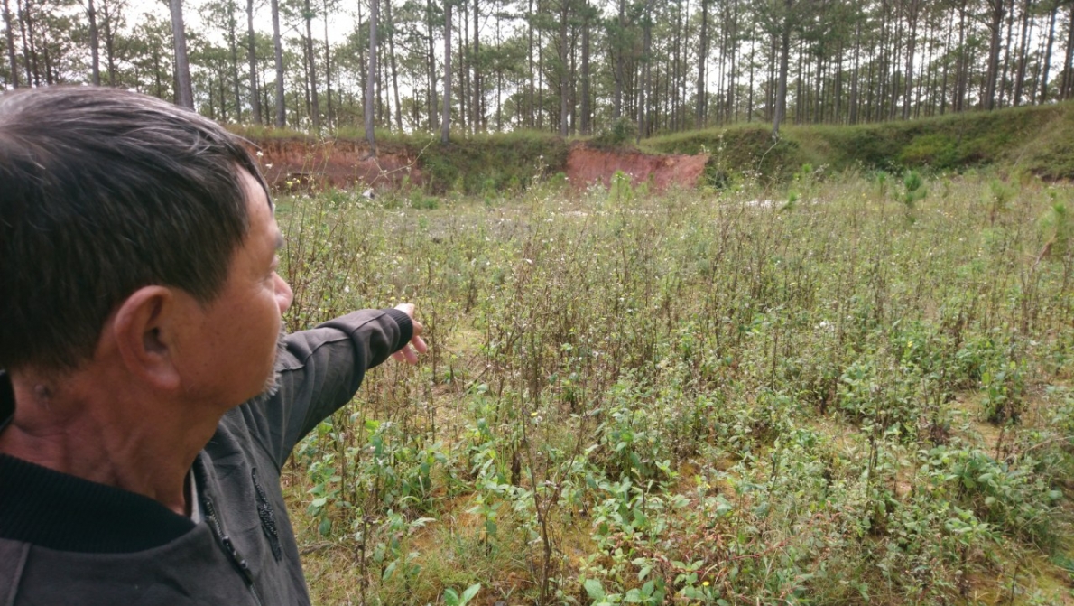 Đà Lạt: Xét xử công khai vụ án “Cố ý gây thương tích” hành vi có dấu hiệu cướp!