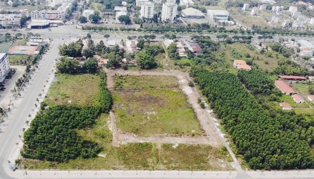 Bà Rịa – Vũng Tàu: Ario Group 