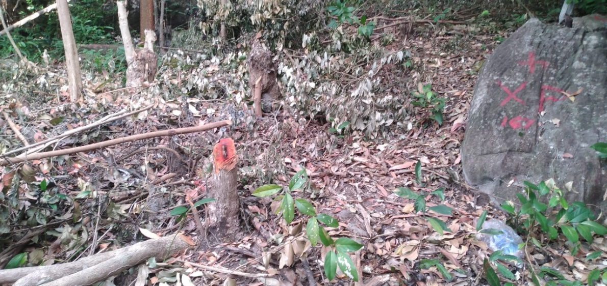 TP. Phú Quốc: Ngang nhiên xâm chiếm đất dự án đang chờ UBND tỉnh Kiên Giang báo cáo Thủ tướng Chính phủ