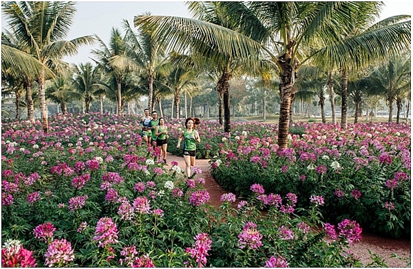 du an sky oasis ecopark dang lam mong da rao ban