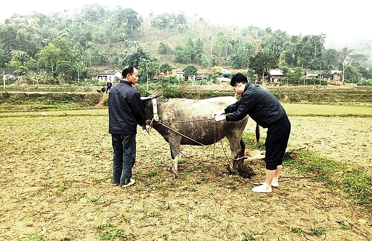 Lễ hội xuống đồng của đồng bào Mông Tây Bắc vào dịp đầu Xuân mới. 
