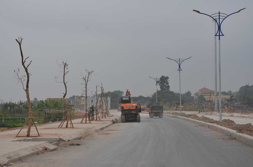 Trồng cây xanh vỉa hè tuyến đường nối tỉnh lộ 331với tỉnh lộ 338