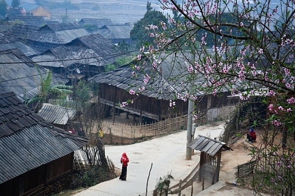 Đón Tết trên đỉnh đèo Sam Síp