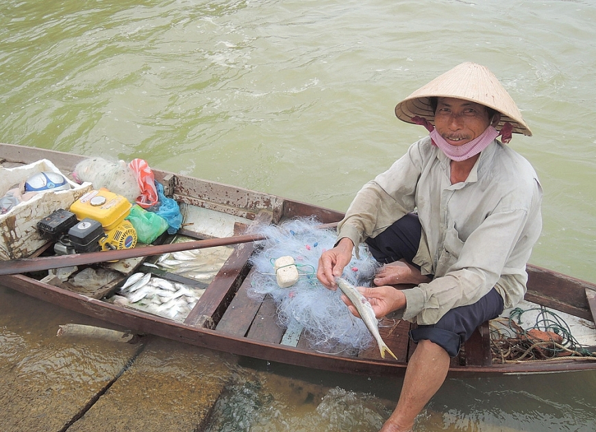 Lão ngư Lê Năm gỡ cá mòi mắc trong lưới.