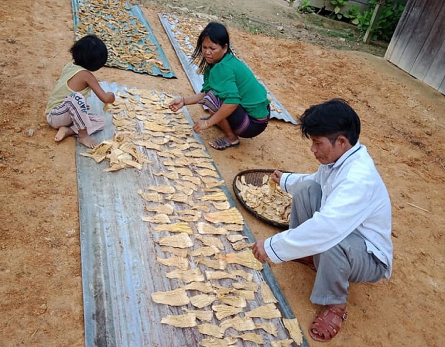 Vợ chồng chị C’Lâu Thị Giáp ở xã Lăng chuẩn bị những cân măng rừng và vài mớ rau nhà trồng được bày bán ở chợ