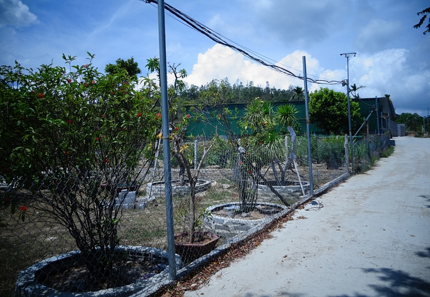 Cả đường điện ba pha cũng vừa được kéo xong