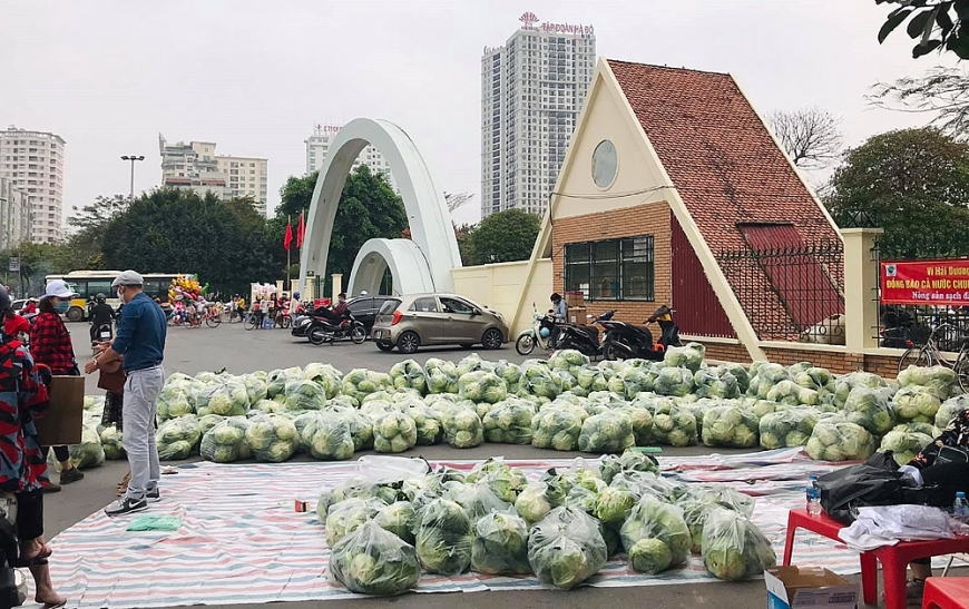 Điểm giải cứu nông sản Hải Dương tại cổng công viên Cầu Giấy