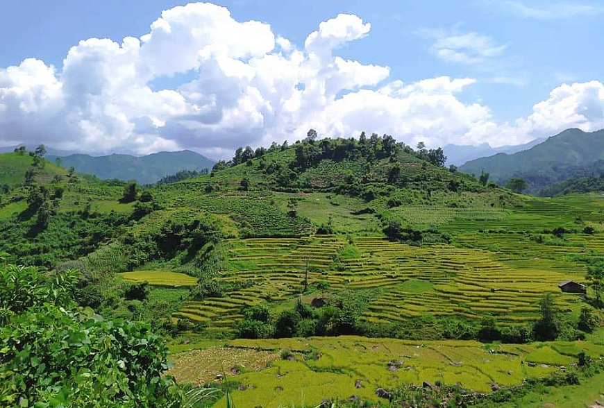 Ruộng bậc thang, một không gian kì vĩ ở Trạm Tấu.
