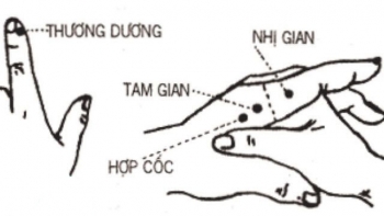 Con người dưới cách nhìn của y học cổ truyền (Kì 30)