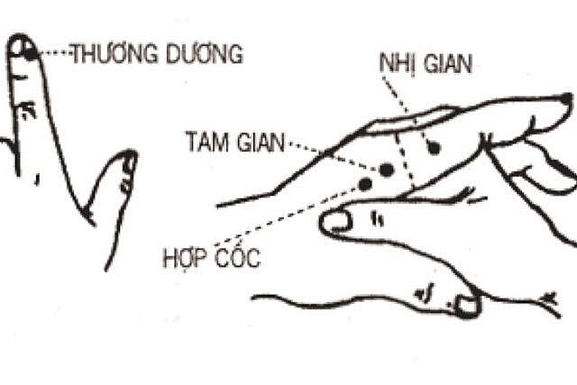Con người dưới cách nhìn của y học cổ truyền (Kì 30)