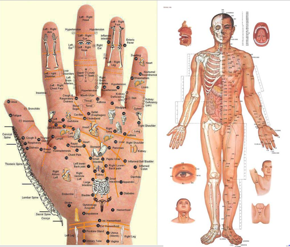 Con người dưới cách nhìn của y học cổ truyền (Kì 31) Con người dưới cách nhìn của y học cổ truyền (Kì 31)