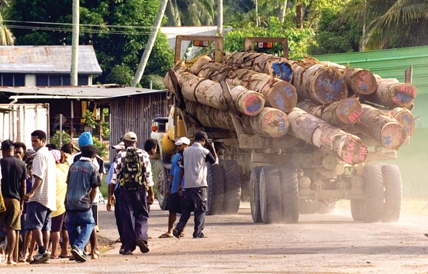 Xe tải chở gỗ xuất khẩu đi qua ngôi làng Vanimo ở Papua New Guinea.  Ảnh: The Guardian