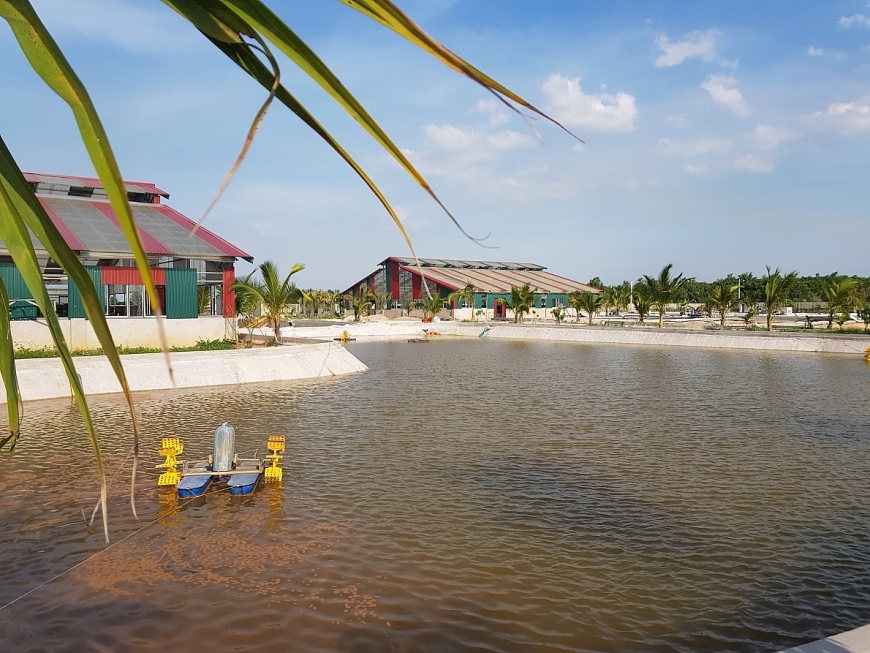            Một góc cơ sở nuôi tôm công nghiệp của hộ gia đình  anh Nguyễn Chí Tình.