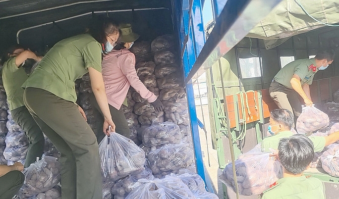 Tăng cường hỗ trợ tiêu thụ nông sản của các địa phương