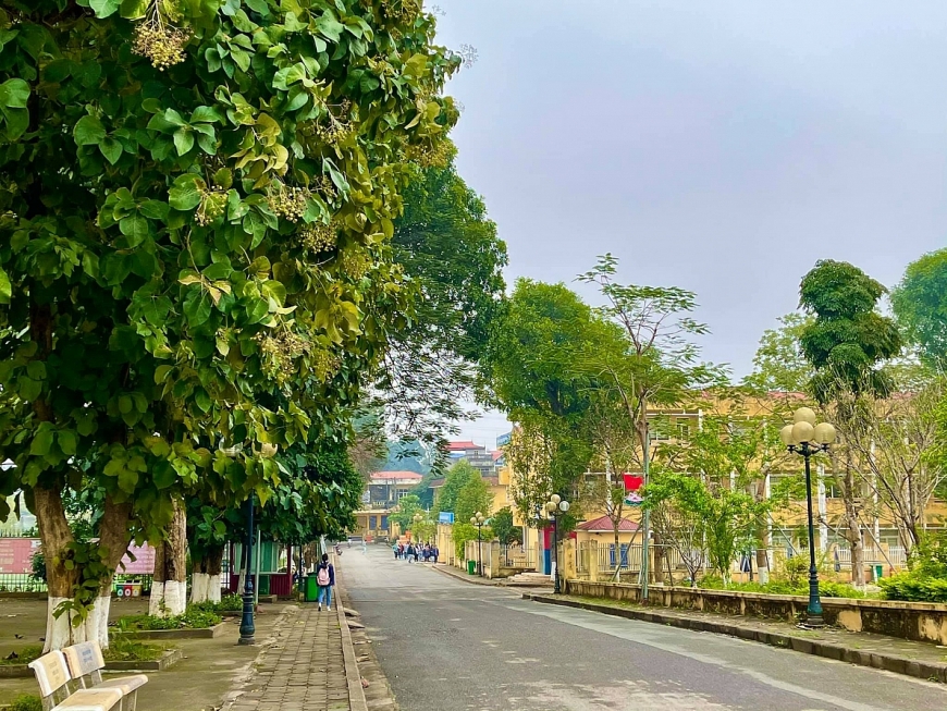 Trường Đại học Lâm nghiệp thông báo tuyển sinh đại học hệ chính quy năm 2021-2022